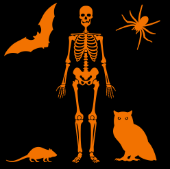 Happy Halloween!